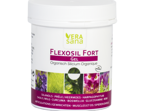 Flexosil gel forte